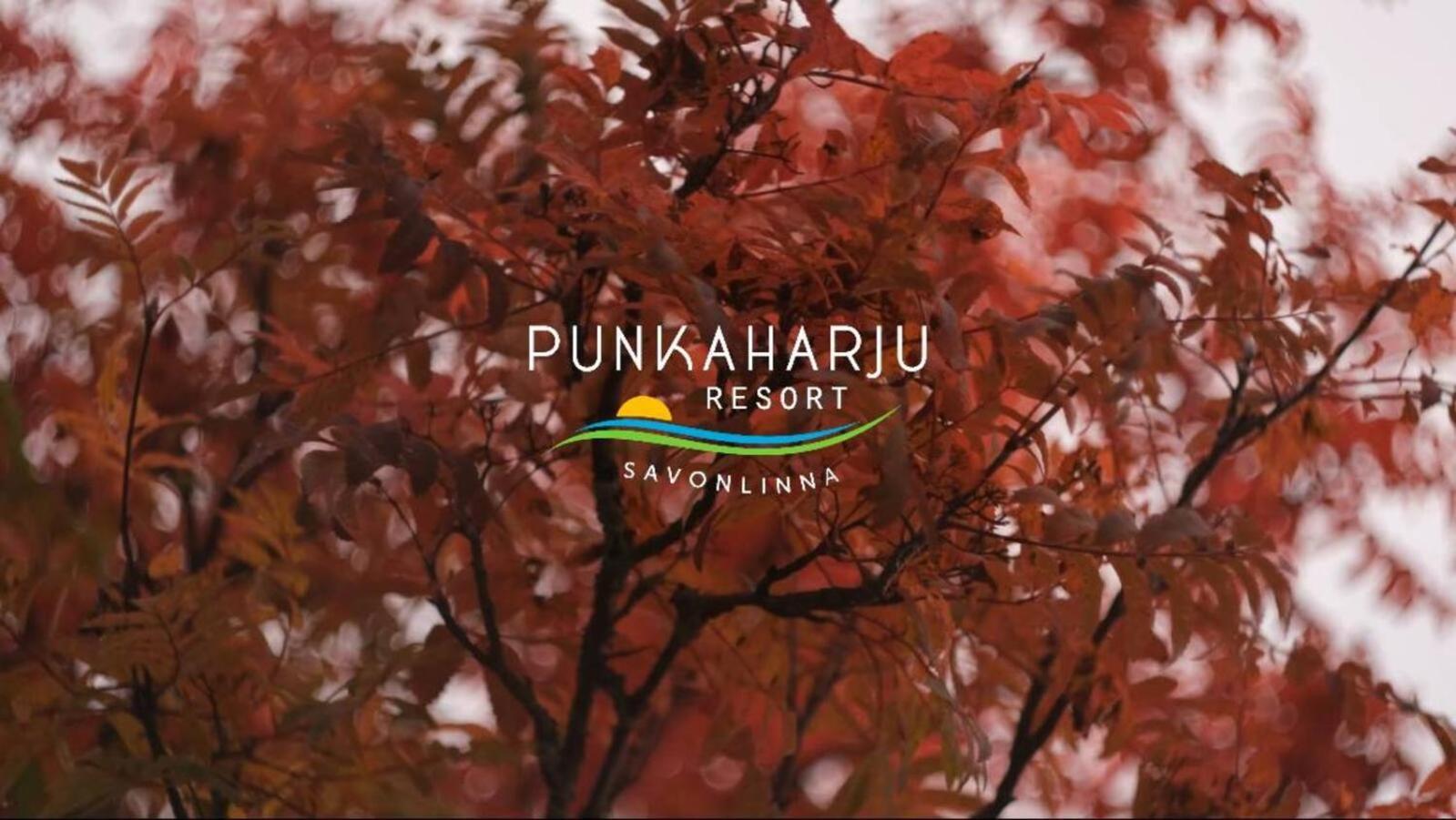 Punkaharju Resort Экстерьер фото