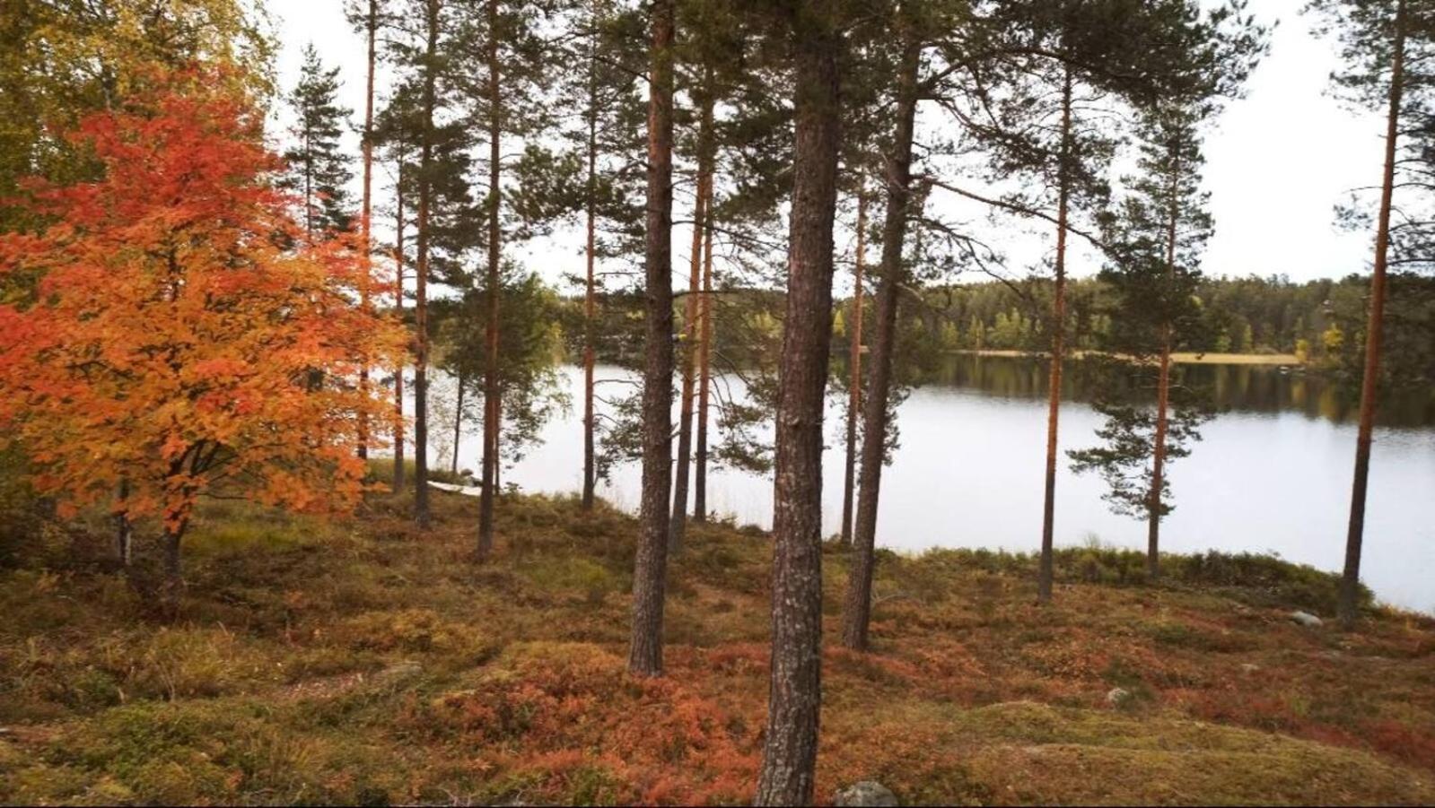 Punkaharju Resort Экстерьер фото